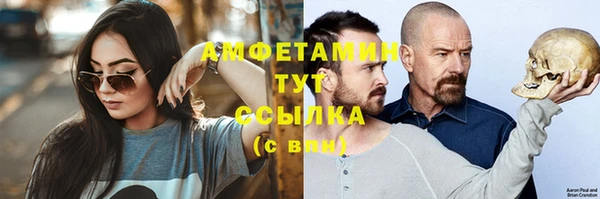 дживик Надым
