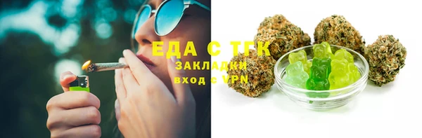 соль ск Новозыбков