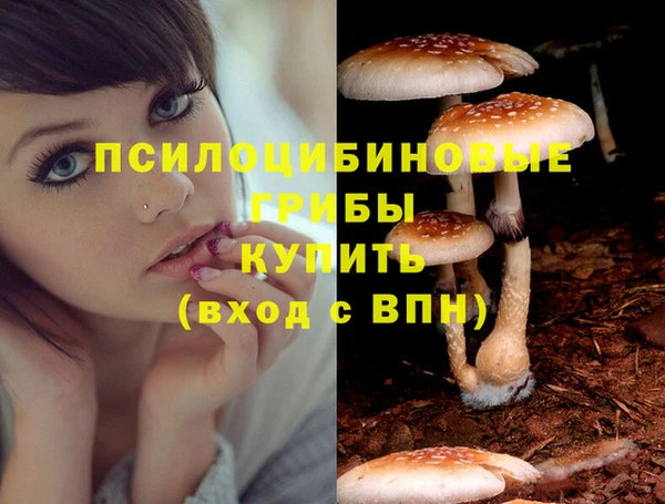 соль ск Новозыбков