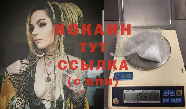 соль ск Новозыбков