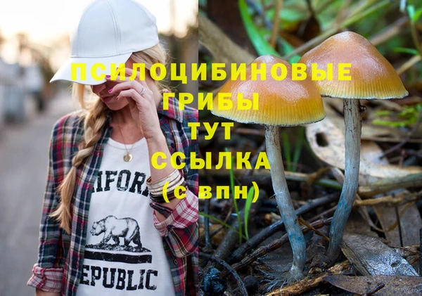 дживик Надым