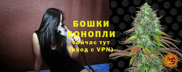 спиды Новодвинск