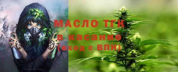 дживик Надым