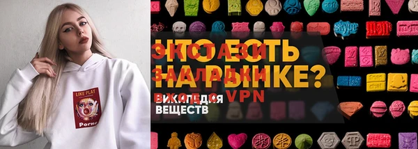 дживик Надым