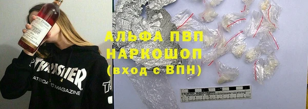 спиды Новодвинск