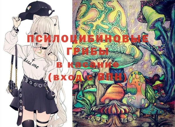 дживик Надым